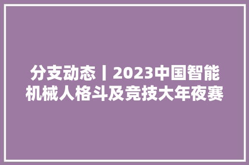 分支动态丨2023中国智能机械人格斗及竞技大年夜赛在北京圆满举行