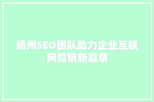 扬州SEO团队助力企业互联网营销新篇章