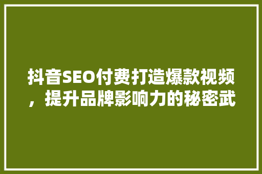 抖音SEO付费打造爆款视频，提升品牌影响力的秘密武器