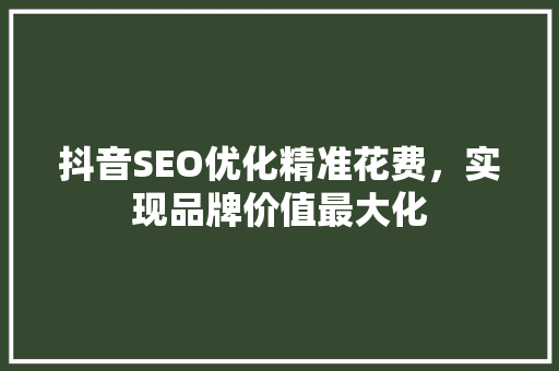 抖音SEO优化精准花费，实现品牌价值最大化