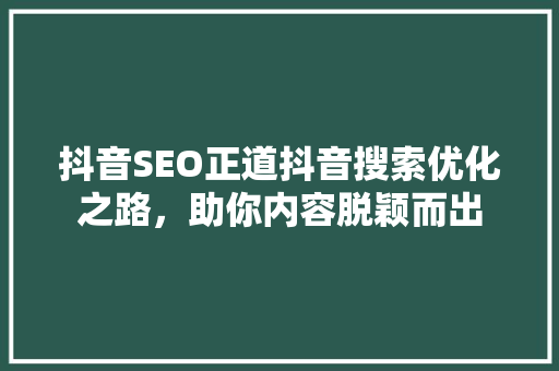 抖音SEO正道抖音搜索优化之路，助你内容脱颖而出