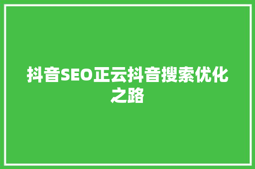 抖音SEO正云抖音搜索优化之路