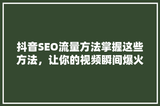 抖音SEO流量方法掌握这些方法，让你的视频瞬间爆火！