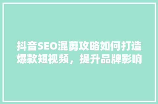 抖音SEO混剪攻略如何打造爆款短视频，提升品牌影响力