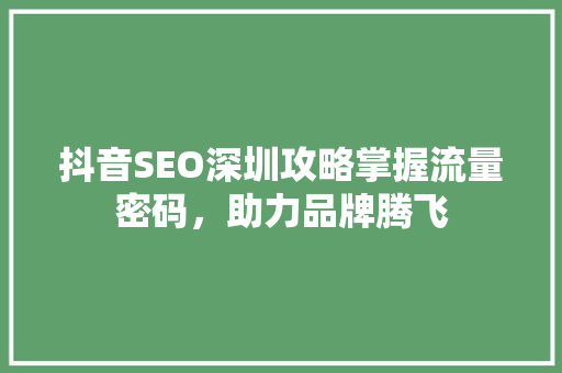 抖音SEO深圳攻略掌握流量密码，助力品牌腾飞