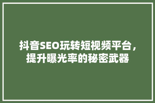 抖音SEO玩转短视频平台，提升曝光率的秘密武器