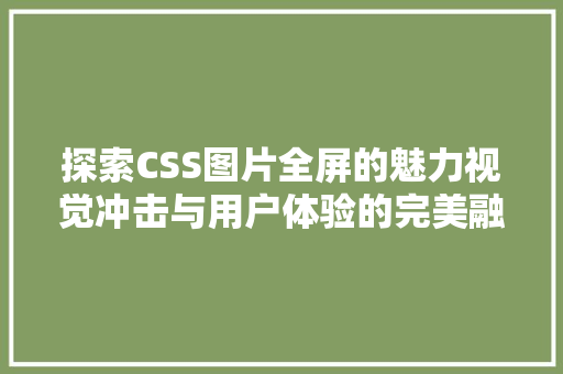 探索CSS图片全屏的魅力视觉冲击与用户体验的完美融合