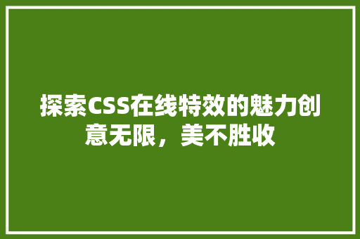 探索CSS在线特效的魅力创意无限，美不胜收