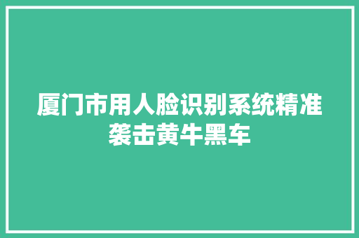 厦门市用人脸识别系统精准袭击黄牛黑车