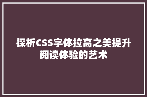 探析CSS字体拉高之美提升阅读体验的艺术