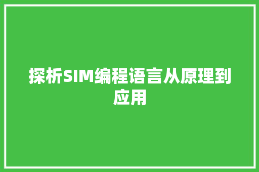 探析SIM编程语言从原理到应用