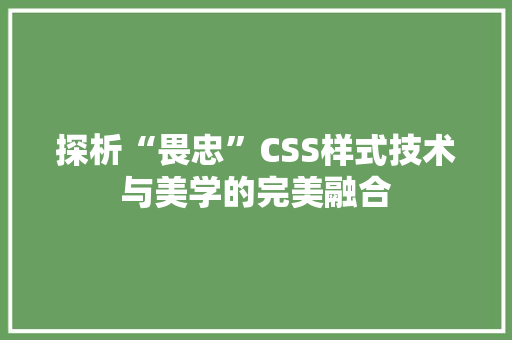 探析“畏忠”CSS样式技术与美学的完美融合