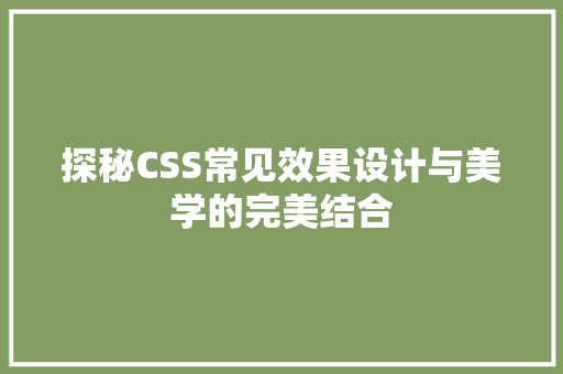 探秘CSS常见效果设计与美学的完美结合