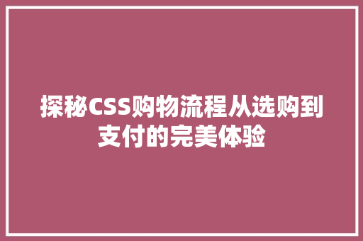 探秘CSS购物流程从选购到支付的完美体验