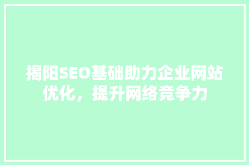 揭阳SEO基础助力企业网站优化，提升网络竞争力