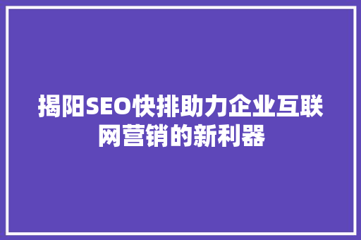 揭阳SEO快排助力企业互联网营销的新利器