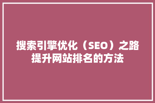 搜索引擎优化（SEO）之路提升网站排名的方法