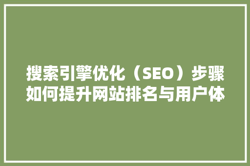 搜索引擎优化（SEO）步骤如何提升网站排名与用户体验