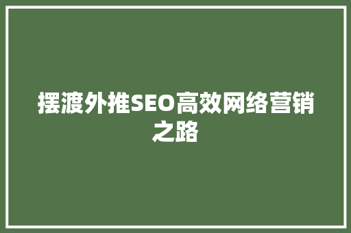 摆渡外推SEO高效网络营销之路