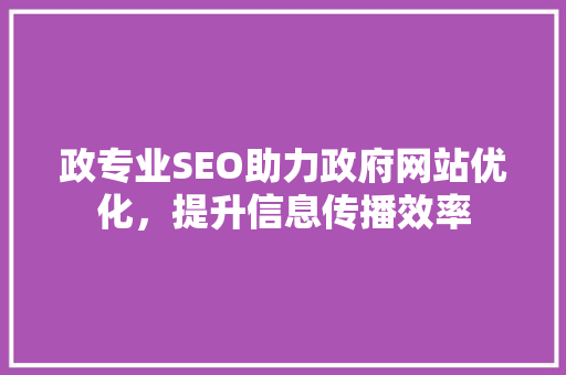 政专业SEO助力政府网站优化，提升信息传播效率