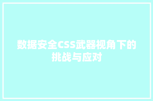 数据安全CSS武器视角下的挑战与应对