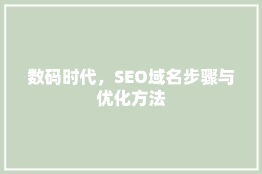 数码时代，SEO域名步骤与优化方法