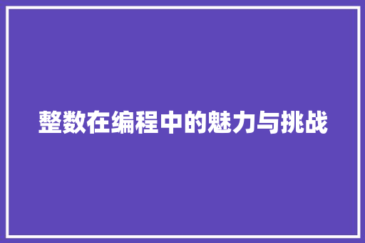 整数在编程中的魅力与挑战