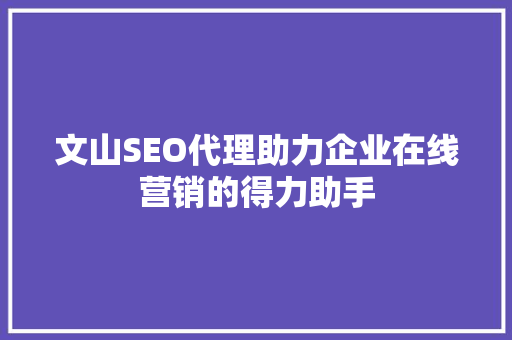 文山SEO代理助力企业在线营销的得力助手