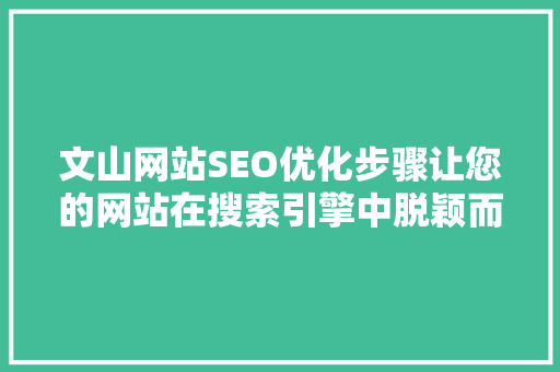 文山网站SEO优化步骤让您的网站在搜索引擎中脱颖而出