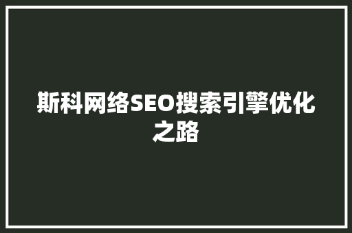 斯科网络SEO搜索引擎优化之路