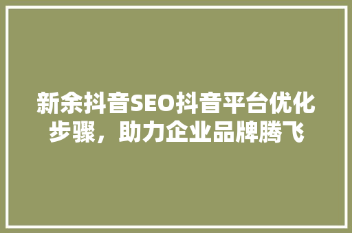 新余抖音SEO抖音平台优化步骤，助力企业品牌腾飞