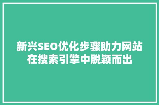 新兴SEO优化步骤助力网站在搜索引擎中脱颖而出