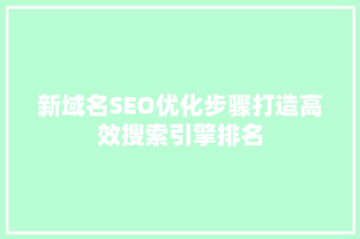 新域名SEO优化步骤打造高效搜索引擎排名