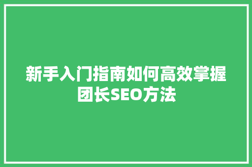 新手入门指南如何高效掌握团长SEO方法