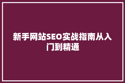 新手网站SEO实战指南从入门到精通