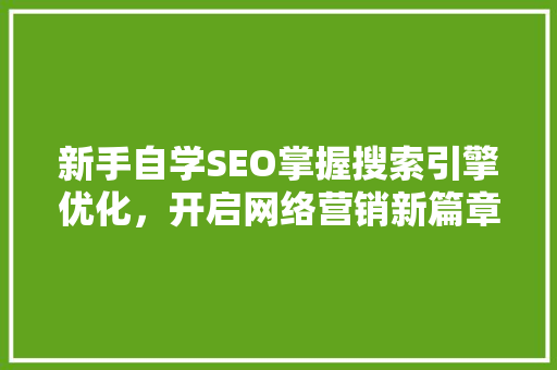 新手自学SEO掌握搜索引擎优化，开启网络营销新篇章