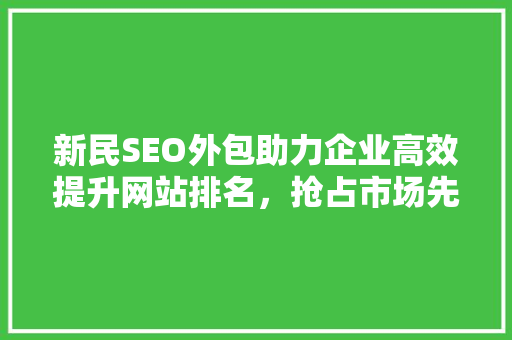 新民SEO外包助力企业高效提升网站排名，抢占市场先机