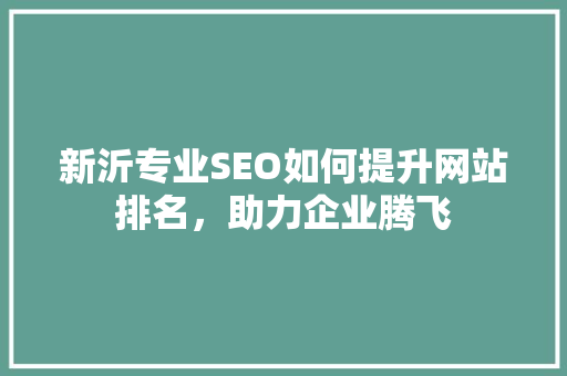 新沂专业SEO如何提升网站排名，助力企业腾飞