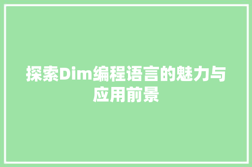 探索Dim编程语言的魅力与应用前景