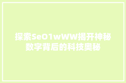 探索SeO1wWW揭开神秘数字背后的科技奥秘