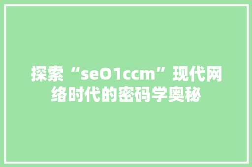 探索“seO1ccm”现代网络时代的密码学奥秘