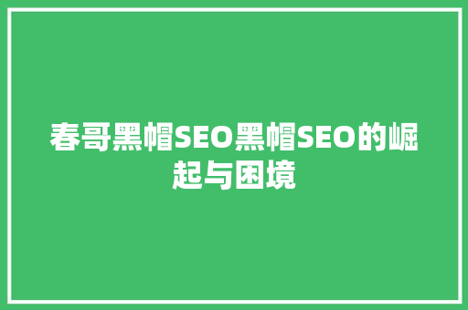 春哥黑帽SEO黑帽SEO的崛起与困境