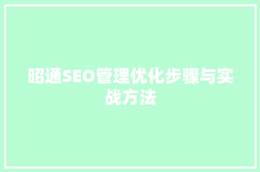 昭通SEO管理优化步骤与实战方法