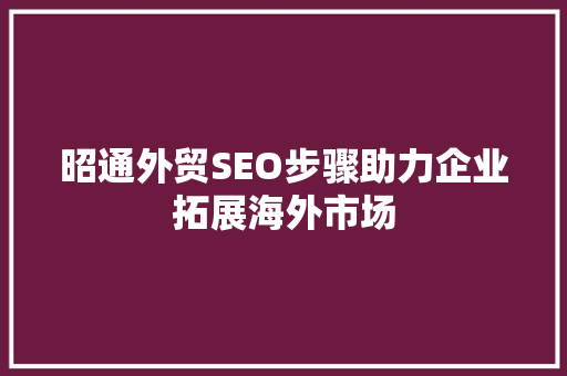 昭通外贸SEO步骤助力企业拓展海外市场