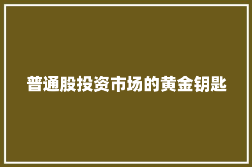 普通股投资市场的黄金钥匙