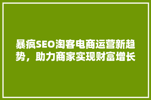 暴疯SEO淘客电商运营新趋势，助力商家实现财富增长