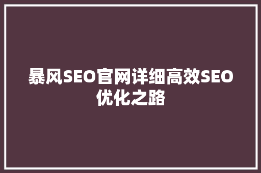 暴风SEO官网详细高效SEO优化之路