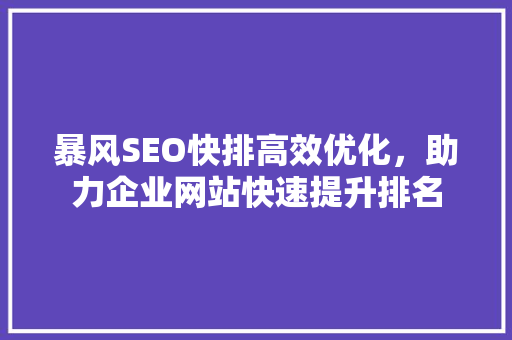 暴风SEO快排高效优化，助力企业网站快速提升排名