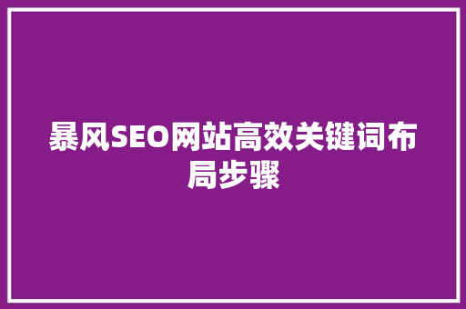 暴风SEO网站高效关键词布局步骤