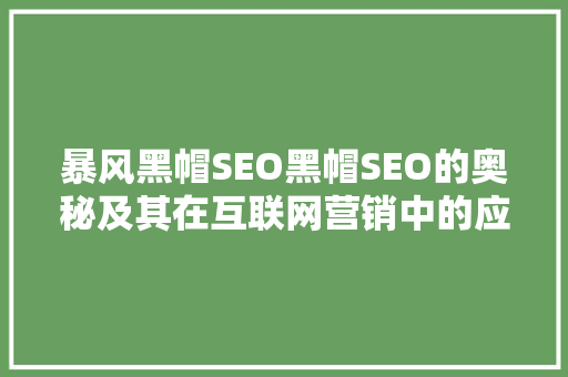 暴风黑帽SEO黑帽SEO的奥秘及其在互联网营销中的应用